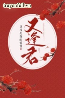 Gặp Lại Quân Tìm Kiếm Tình Yêu book cover