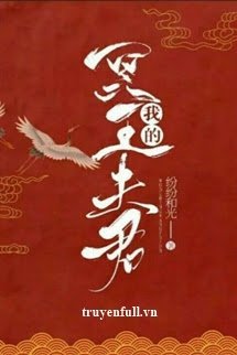 Minh Vương Phu Quân book cover