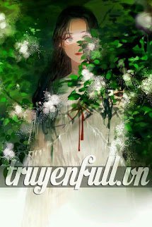Mộc Quy book cover
