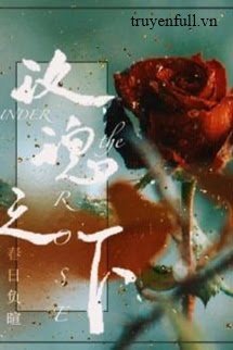 Bên Dưới Đóa Hồng book cover