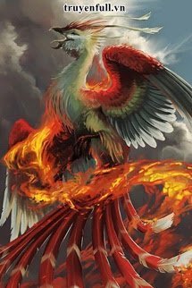 Đấu La Chi Thiên Cơ Phượng Hoàng book cover