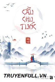 Cầu Chu Tước book cover
