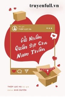 Gửi Nhầm Quần Sịp Cho Nam Thần book cover