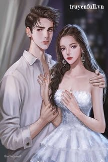 Nhật Kí Cưa Đổ Sếp Tổng book cover