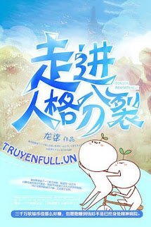 Đi Vào Nhân Cách Phân Liệt book cover