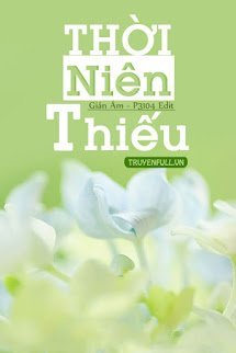 Thời Niên Thiếu book cover