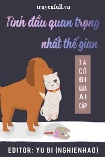 Tình Đầu Quan Trọng Nhất Thế Gian book cover