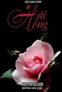 Hái Hồng book cover