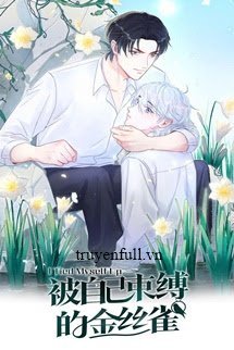 Chim Hoàng Yến Bị Trói Buộc Bởi Chính Mình book cover