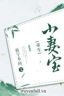 Tiểu Thê Bảo book cover