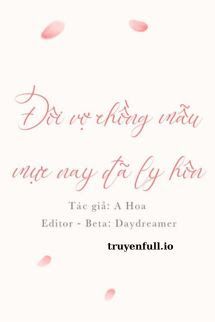 Đôi Vợ Chồng Mẫu Mực Nay Đã Ly Hôn book cover