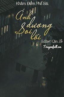 Ánh Dương Soi Lối book cover