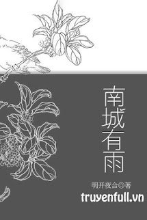 Nam Thành Có Mưa book cover