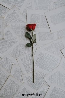 Cành Hồng Năm Ấy book cover