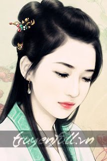 Kim Bình Mai Hoa Kỷ Nguyệt Khai book cover