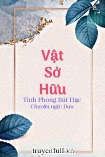Vật Sở Hữu book cover