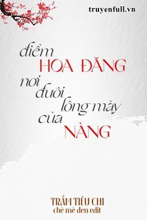 Điểm Hoa Đăng Nơi Đuôi Lông Mày Của Nàng book cover