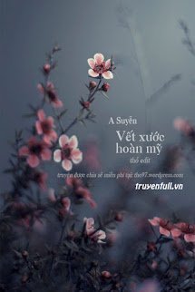 Vết Xước Hoàn Mỹ book cover