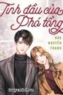 Tình Đầu Của Phó Tổng book cover
