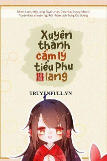 Xuyên Thành Cẩm Lý Tiểu Phu Lang book cover