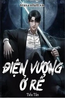 Điện Vương Ở Rể book cover