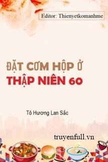 Đặt Cơm Hộp Ở Thập Niên 60 book cover