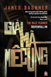 Giải Mã Mê Cung book cover