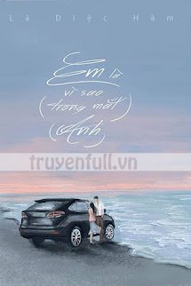 Em Là Vì Sao Trong Mắt Anh book cover
