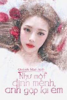 Như Một Định Mệnh, Anh Gặp Lại Em book cover