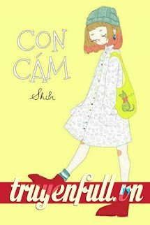 Con Cám book cover
