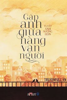 Gặp Anh Giữa Hàng Vạn Người book cover