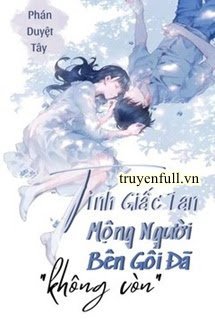 Tỉnh Giấc Tan Mộng Người Bên Gối Đã Không Còn book cover