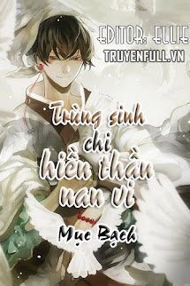 Hiền Thần Nan Vi book cover