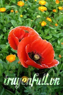Gửi Anh – Chàng Trai Giống Cánh Đồng Hoa Anh Túc book cover
