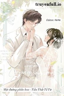 Một Đường Phồn Hoa - Tiểu Thất Tể Tử book cover
