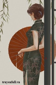 Hết Mực Yêu Chiều book cover