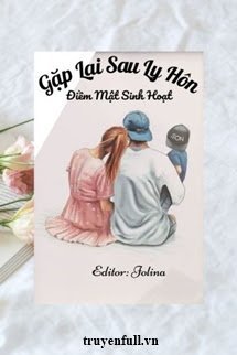 Gặp Lại Sau Ly Hôn book cover