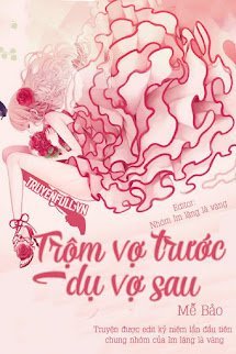 Trộm Vợ Trước, Dụ Vợ Sau book cover