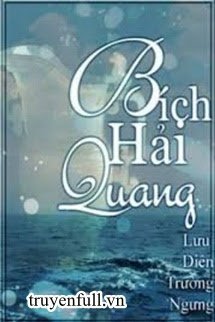 Bích Hải Quang book cover