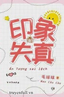 Ấn Tượng Sai Lệch book cover
