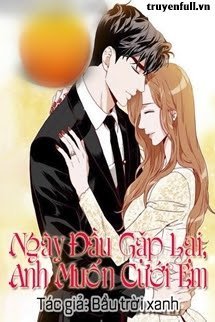 Ngày Đầu Gặp Lại Anh Muốn Cưới Em book cover