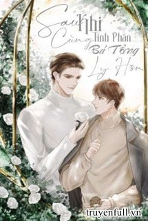 Sau Khi Cùng Tinh Phân Bá Tổng Ly Hôn book cover