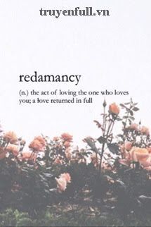 Redamancy book cover