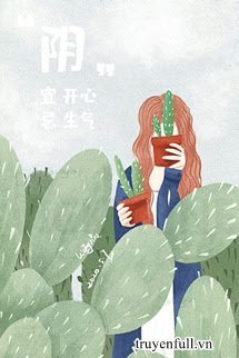 Định Luật Nhím book cover