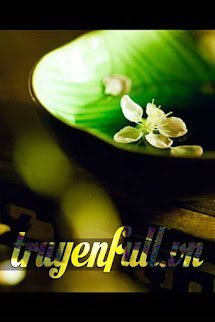 Dư Vị Trà Tâm book cover