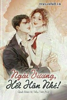 Ngài Vương, Kết Hôn Nhé! book cover