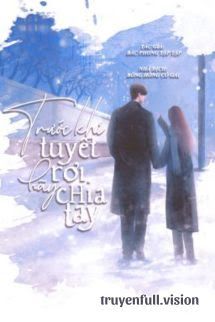 Trước Khi Tuyết Rơi Hãy Chia Tay book cover