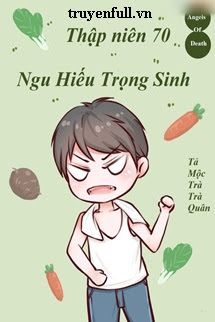 Thập Niên 70 Ngu Hiếu Trọng Sinh book cover
