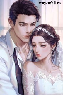 Chàng Rể Vạn Người Mê book cover