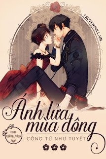 Ánh Lửa Mùa Đông book cover